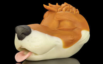 Gideon's Muzzle - One Size Flop