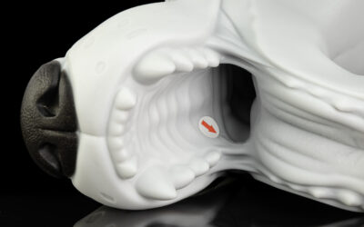Ranger's Muzzle - One Size Flop - Image 2