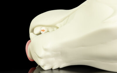Ranger's Muzzle - One Size Flop - Image 2