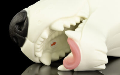 Ranger's Muzzle - One Size Flop - Image 2