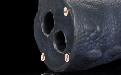 Alternative view of Sapphire - One Size Flop