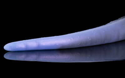 Alternative view of Eden - Small