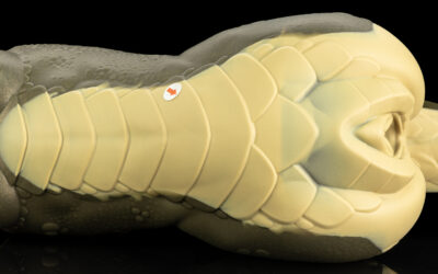 Alternative view of Sapphire - One Size Flop