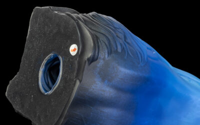 Sapphire's Muzzle - One Size Flop - Image 2