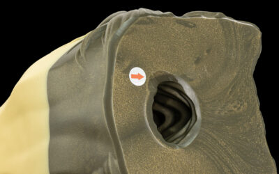 Alternative view of Sapphire's Muzzle - One Size Flop